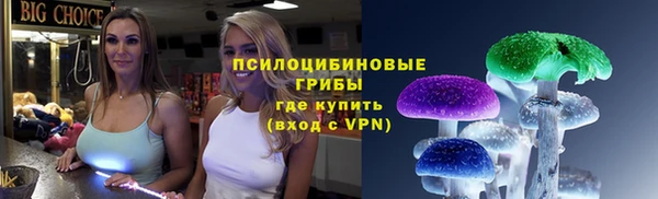 2c-b Бородино
