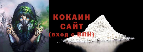 2c-b Бородино