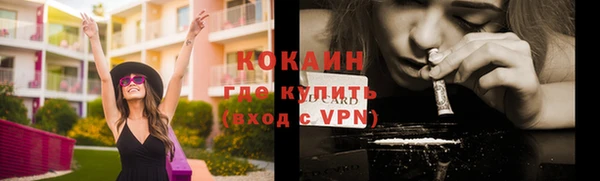 2c-b Бородино