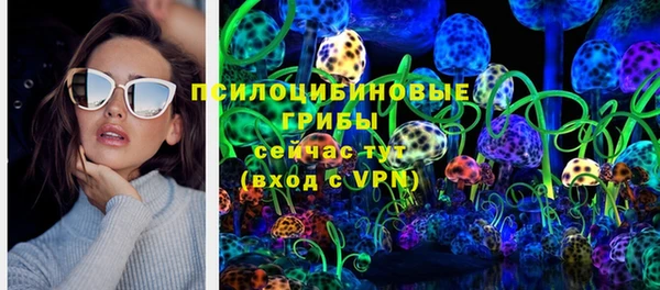 2c-b Бородино