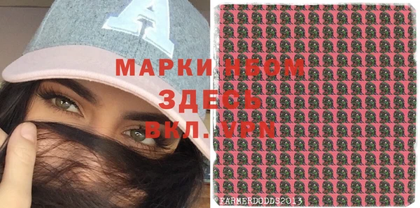 2c-b Бородино