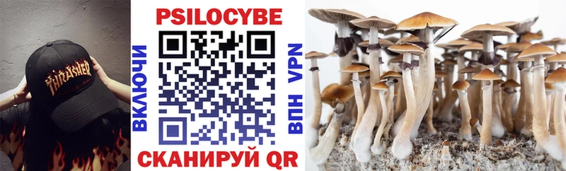 Галлюциногенные грибы Psilocybe  Железногорск 